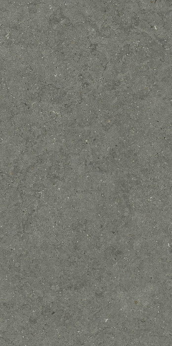 Стоун Айрон Натуральный 60x120 cm Стоун Айрон Натуральный 60x120 cm
