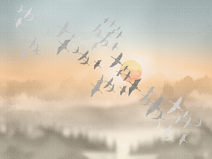 ZK444-COL4
